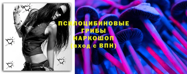 герыч Бородино