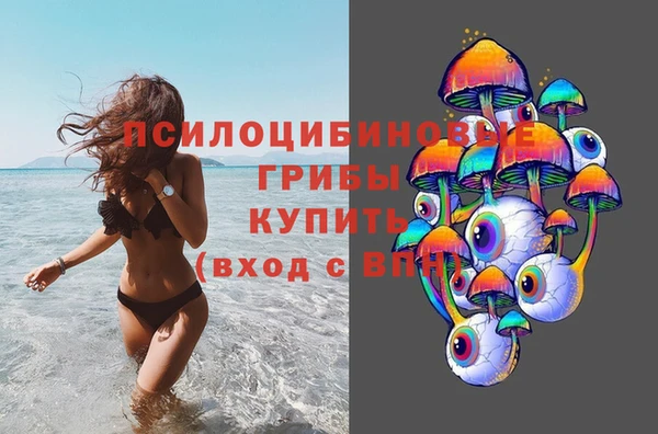 герыч Бородино