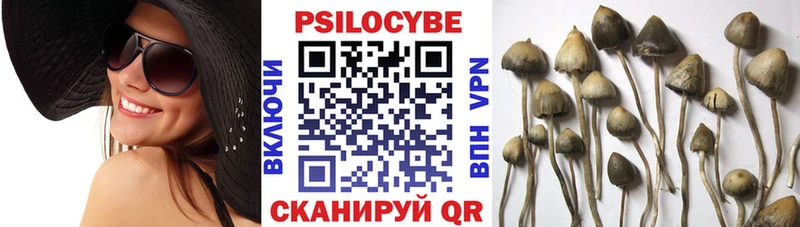Галлюциногенные грибы мухоморы  блэк спрут маркетплейс  Мелеуз 